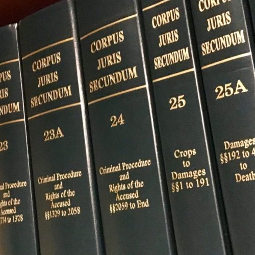 domestic violence law books for south carolina