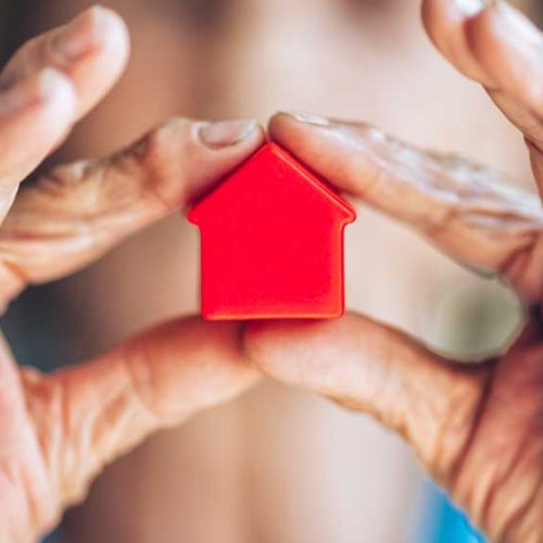 elderly-woman-and-her-property-SMUH376