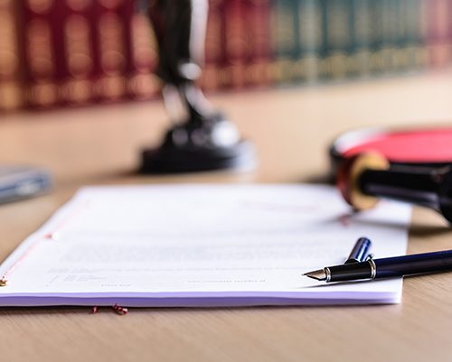 De Bruin Law Firm Consultation