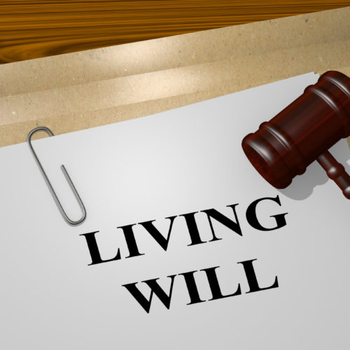 Living Will concept